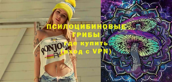 стафф Алзамай