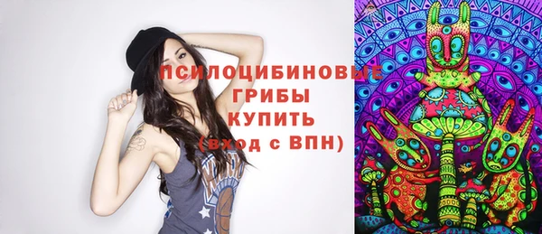 PSILOCYBIN Армянск